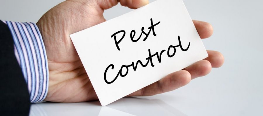 Pest control services