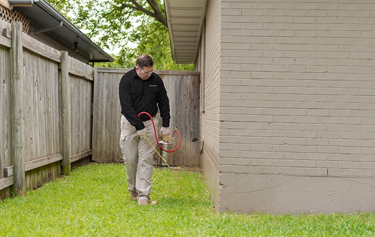 pest control treatment for home
