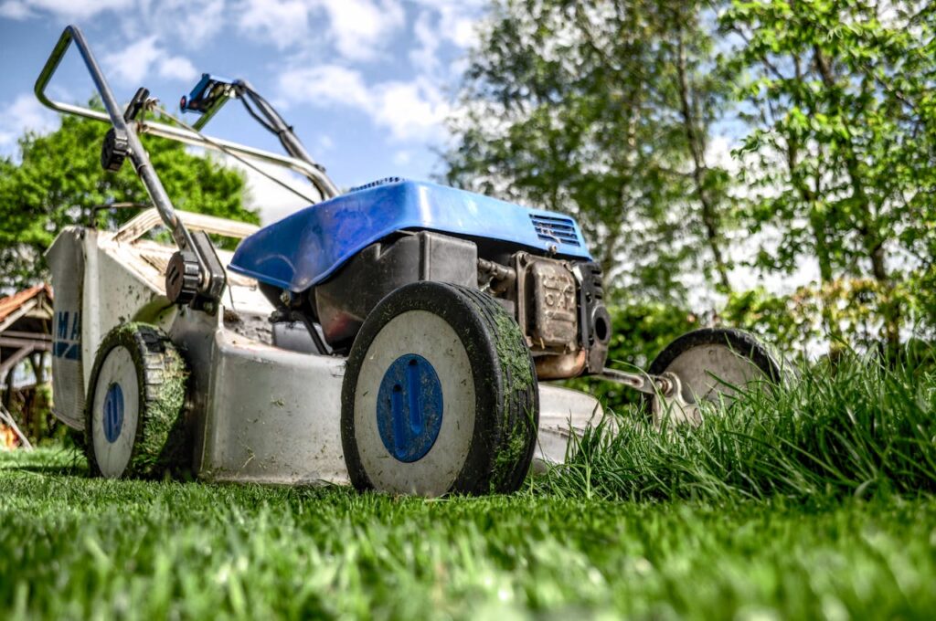 lawn care in Edmonton 